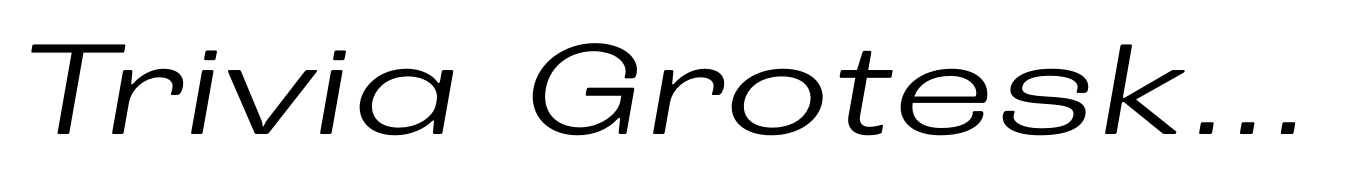 Trivia Grotesk X2 Italic